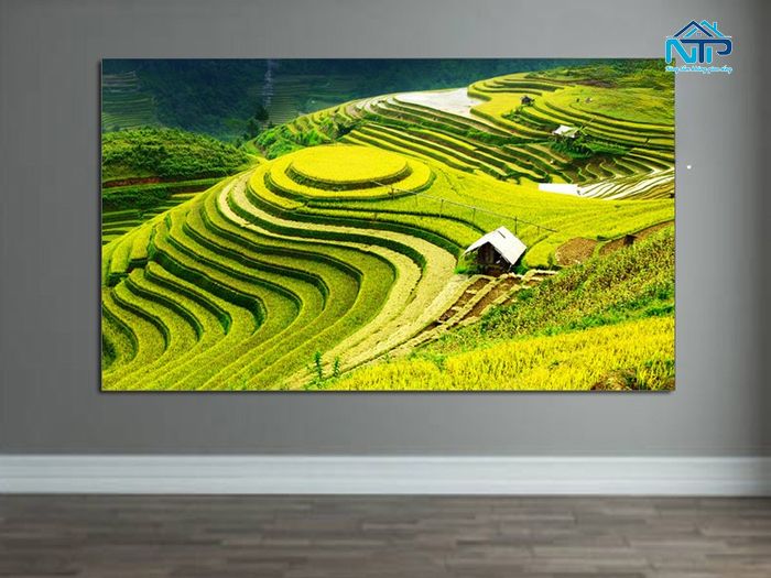 Tranh ruộng bậc thang mang vẻ đẹp giản dị, mộc mạc