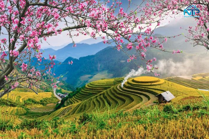 Thiên nhiên Tây Bắc qua từng mùa