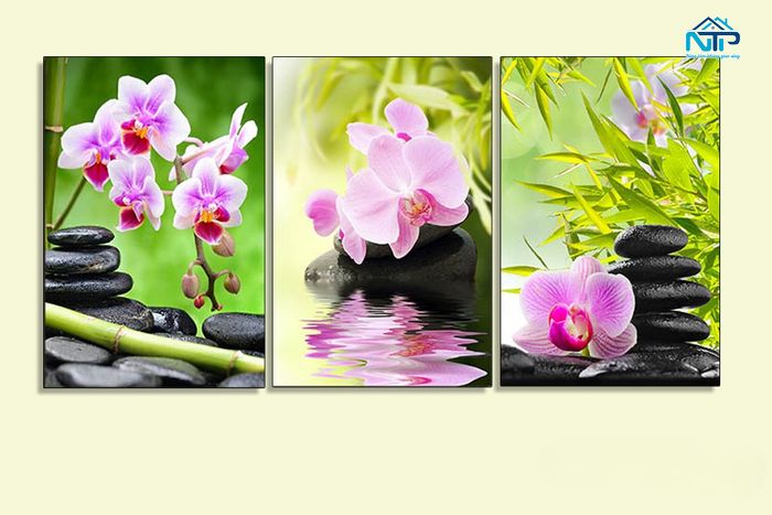 Hoa lan tím mang ý nghĩa chung thủy, tình yêu bền chặt