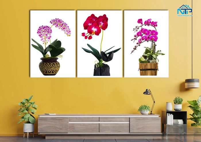 Bộ 3 tranh hoa lan với màu sắc khác nhau